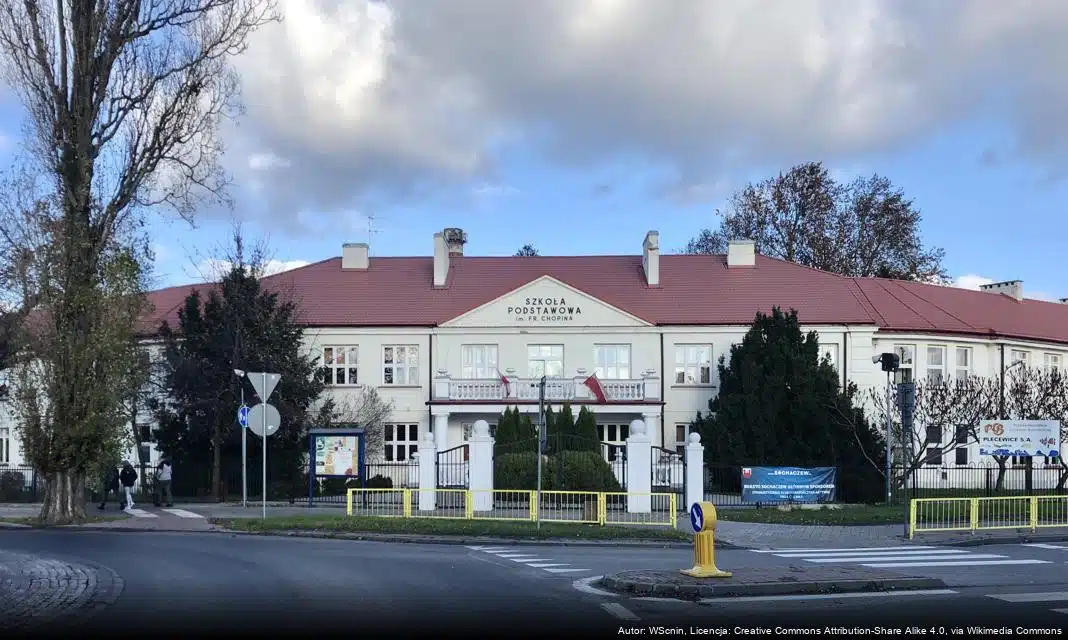 Konsultacje społeczne dotyczące usług opiekuńczych w Sochaczewie