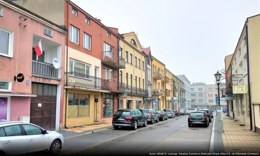 Rozpoczęcie naboru do programu asystencji dla osób z niepełnosprawnością w Sochaczewie